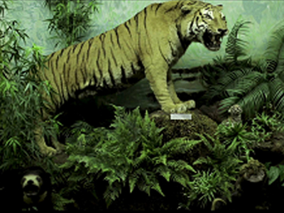 Περισσότερος  ελληνικός κινηματογράφος στο 64ο Φεστιβάλ Βερολίνου